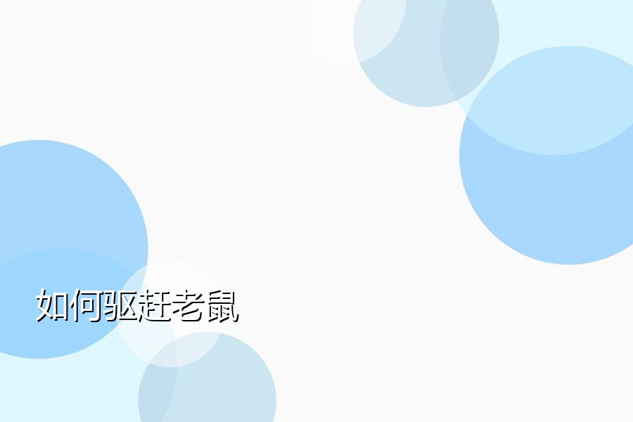 如何驱赶老鼠
