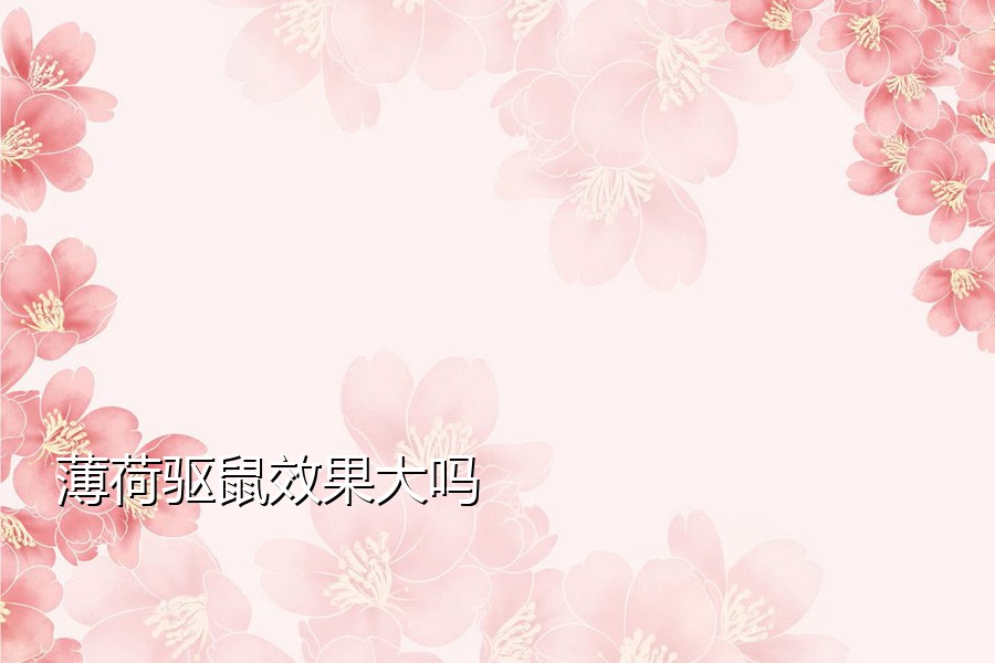 薄荷驱鼠效果大吗