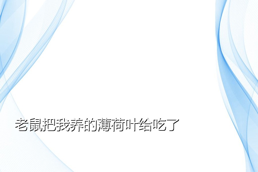 老鼠把我养的薄荷叶给吃了