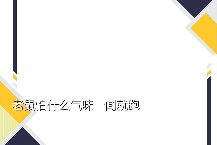 老鼠怕什么气味一闻就跑