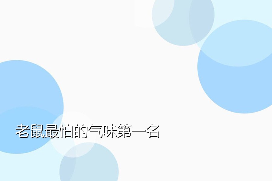 老鼠最怕的气味第一名