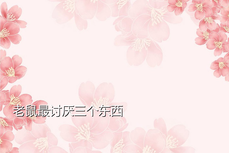 老鼠最讨厌三个东西