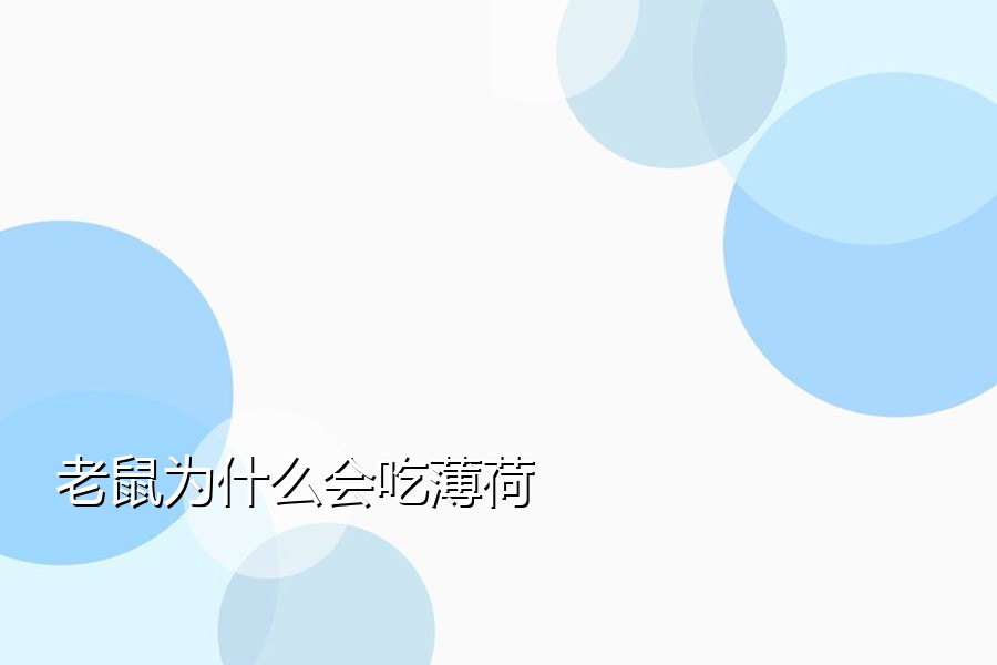 老鼠为什么会吃薄荷